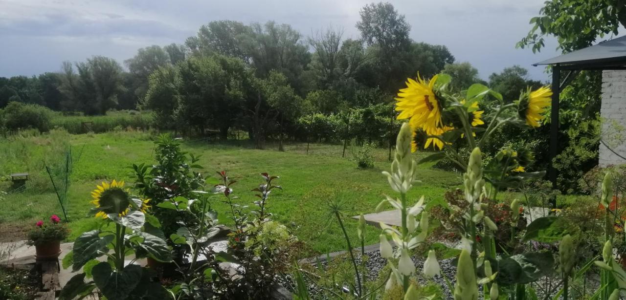 Apartamento Nakonci Vacenovice Exterior foto