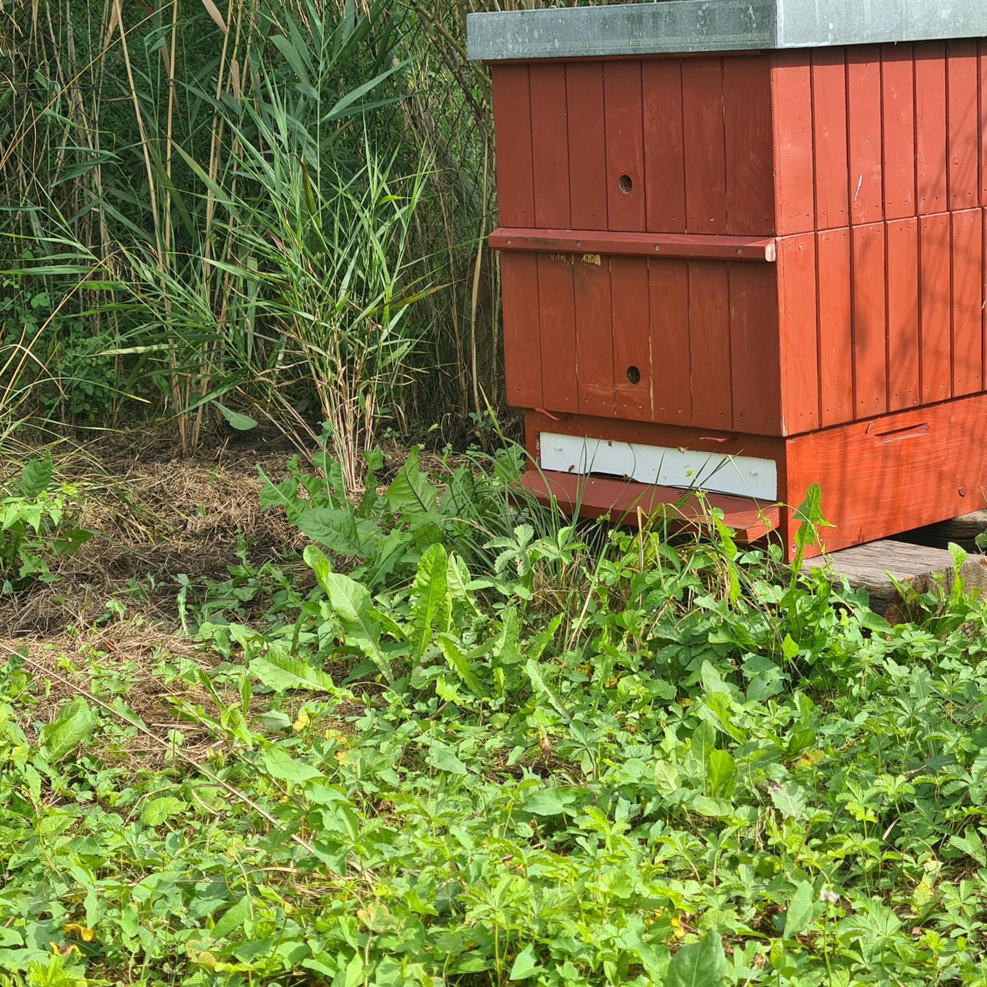Apartamento Nakonci Vacenovice Exterior foto